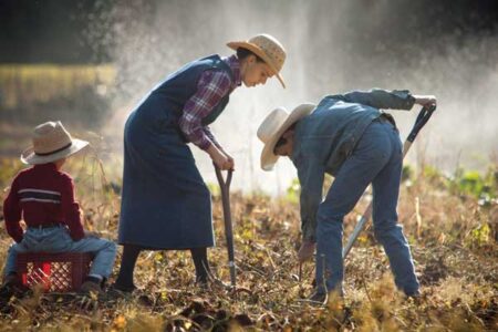 Homestead Heritage: Self-Sufficient Living in Action Image